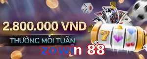 zowin 88