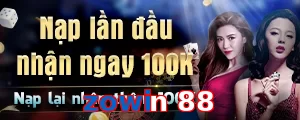 zowin 88