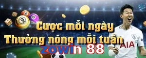 zowin 88